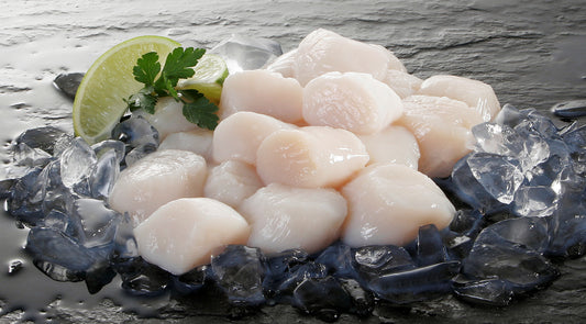 Usa Scallops